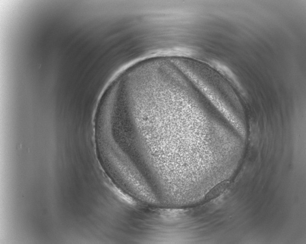 X0000068301184200605051925