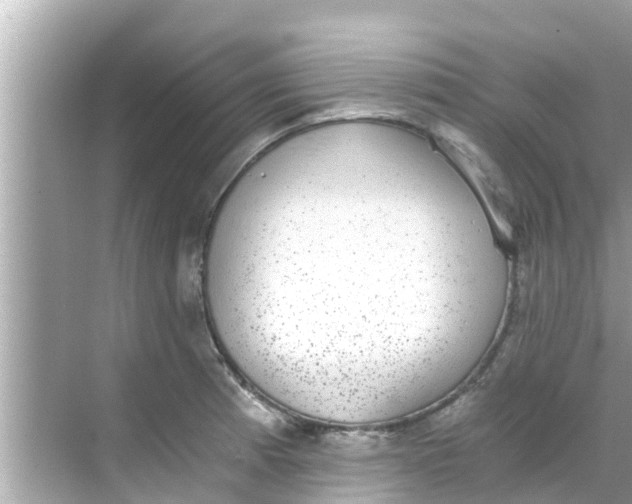 X0000068301185200605051925