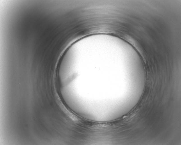 X0000068301187200605051925