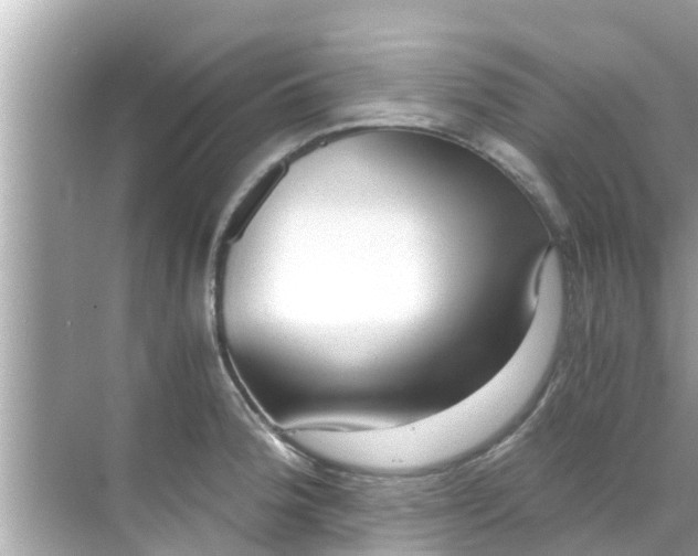 X0000068301188200605051925