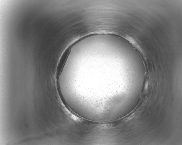 X0000068301189200605051925