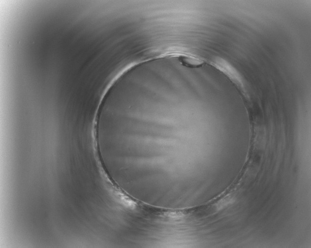 X0000068301190200605051925