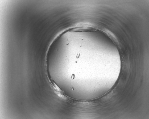 X0000068301192200605051925