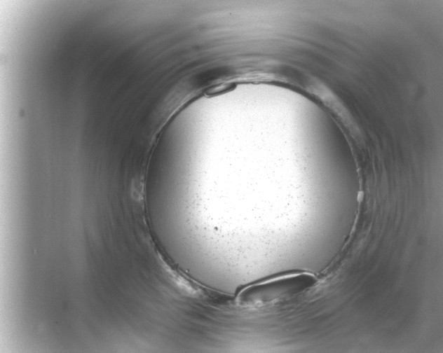 X0000068301193200605051925