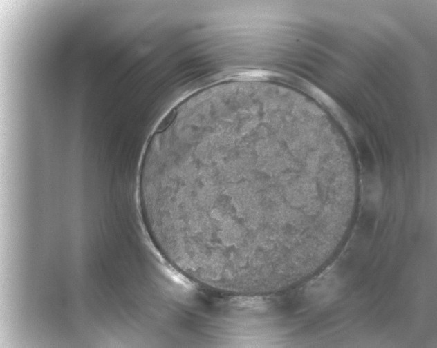 X0000068301194200605051925