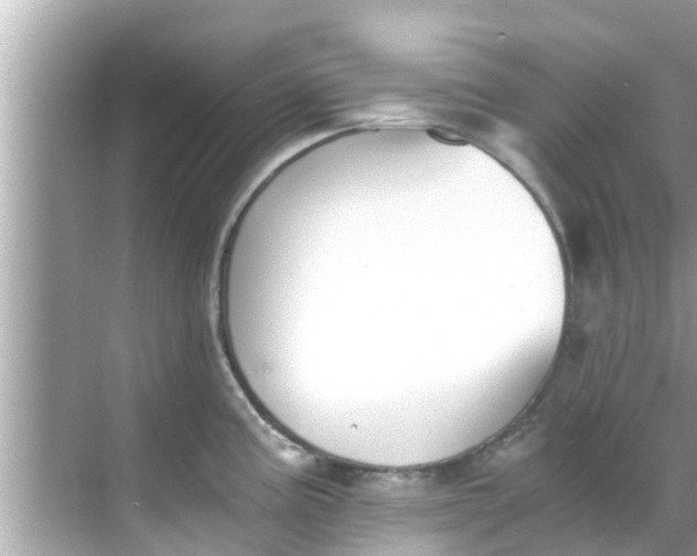 X0000068301195200605051925