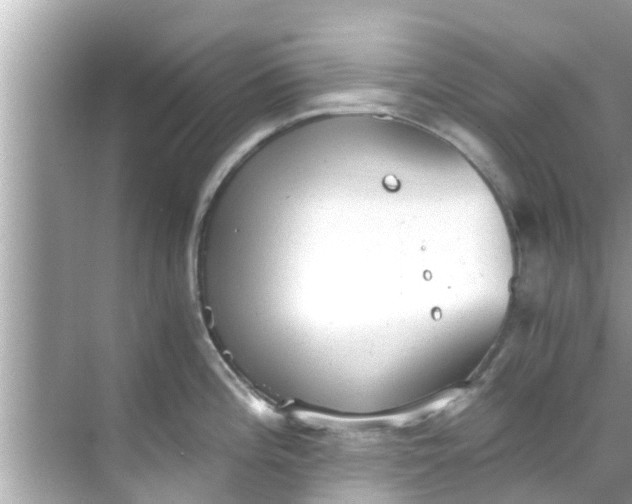 X0000068301196200605051925