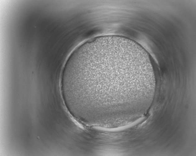 X0000068301197200605051925