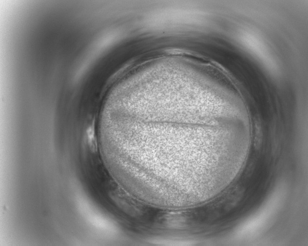 X0000068301198200605051925