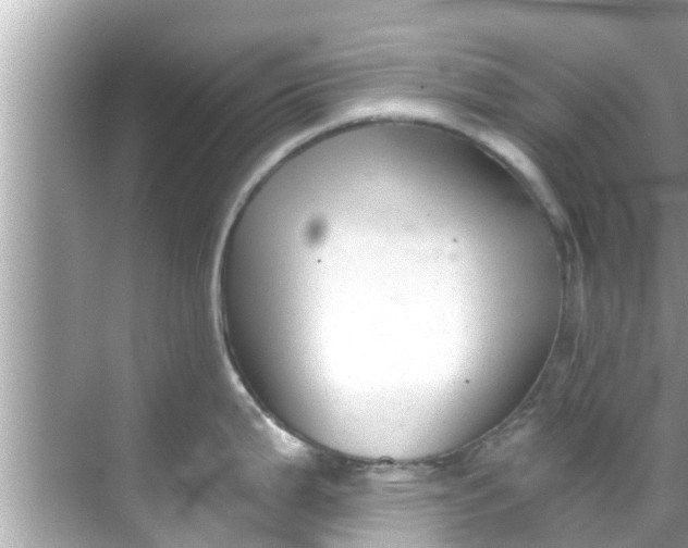 X0000068301199200605051925