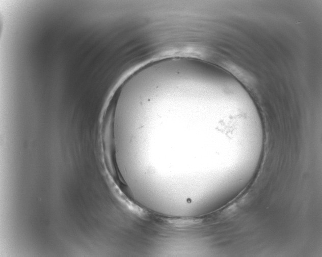 X0000068301200200605051925