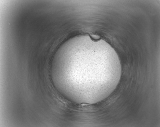 X0000068301201200605051924