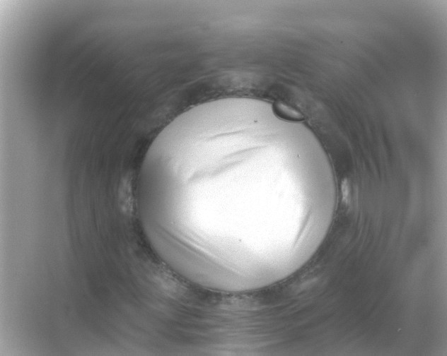 X0000068301203200605051924