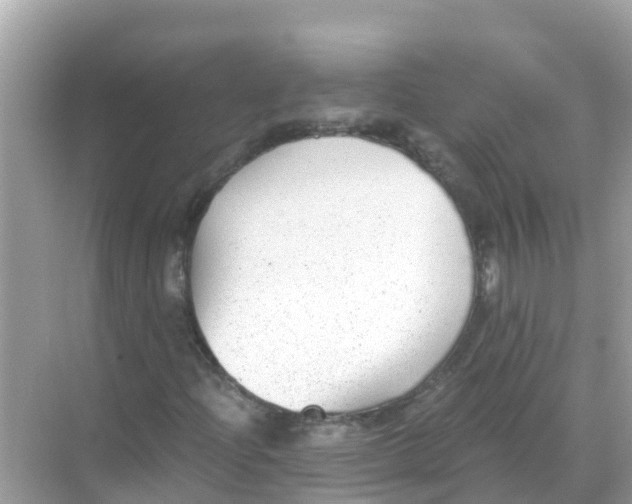 X0000068301204200605051924