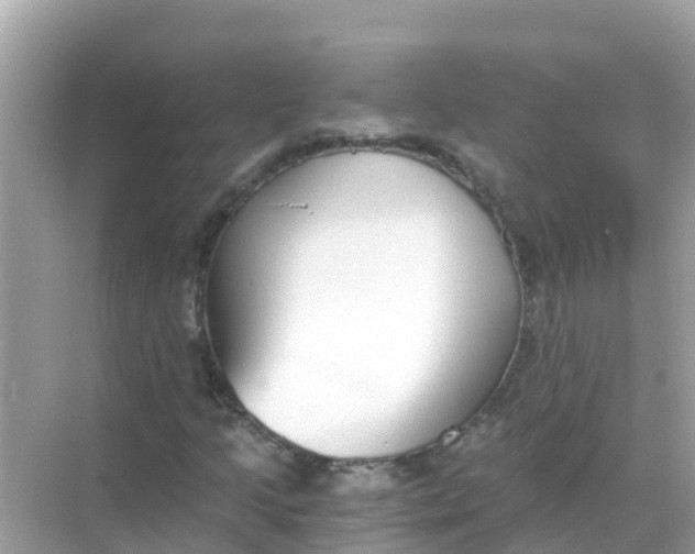 X0000068301205200605051924