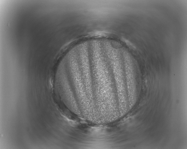 X0000068301206200605051924