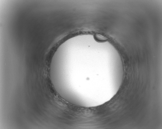 X0000068301207200605051924