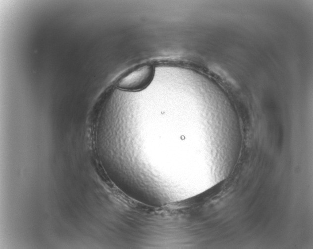 X0000068301208200605051924