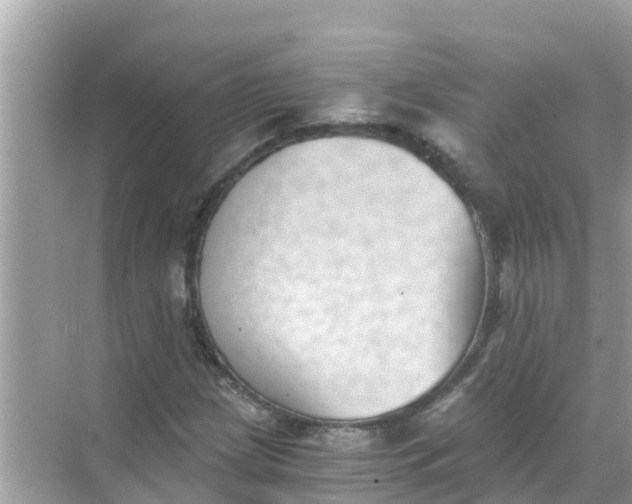 X0000068301209200605051924