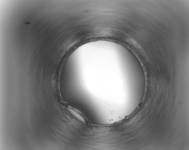 X0000068301210200605051924