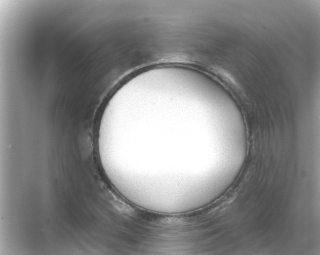 X0000068301212200605051924