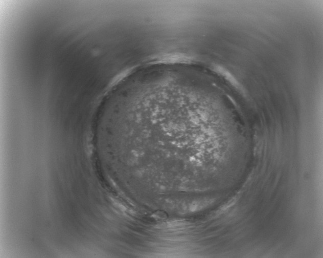 X0000068301213200605051924