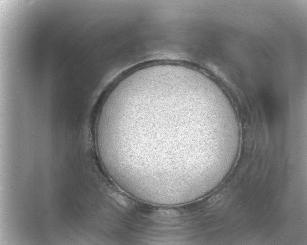 X0000068301215200605051924