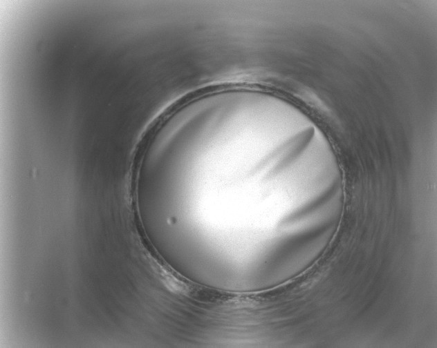 X0000068301216200605051924