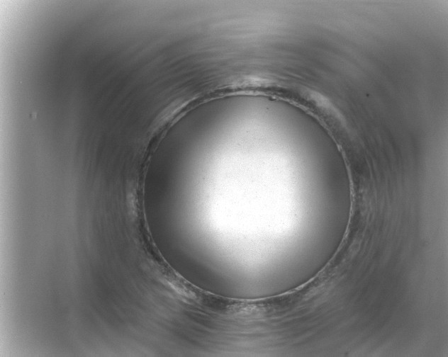 X0000068301217200605051924