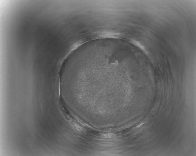 X0000068301219200605051924