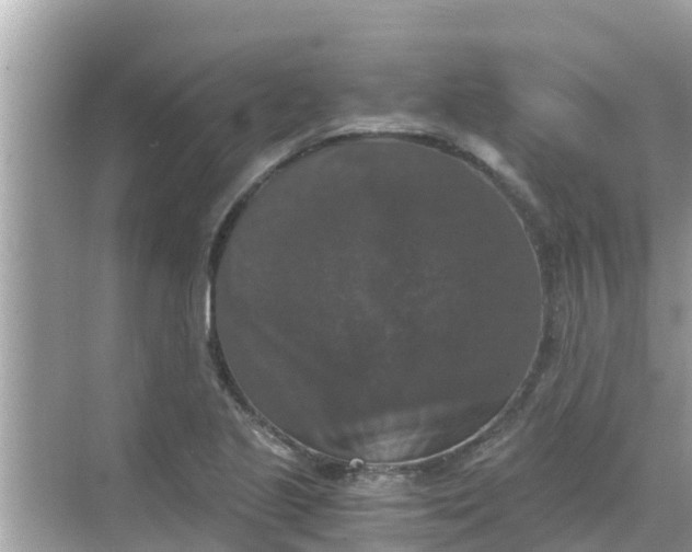 X0000068301221200605051924