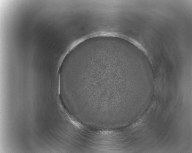 X0000068301223200605051924