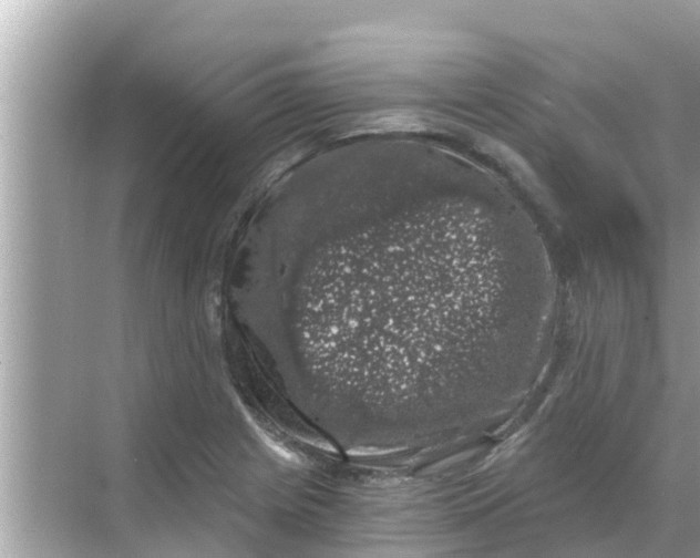 X0000068301225200605051924