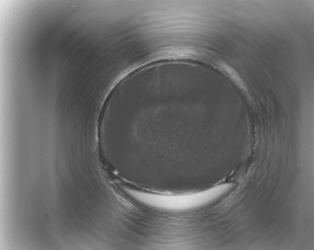 X0000068301226200605051924