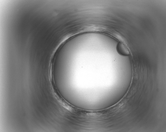 X0000068301227200605051924