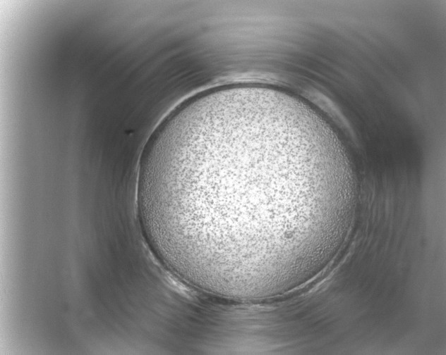 X0000068301228200605051925