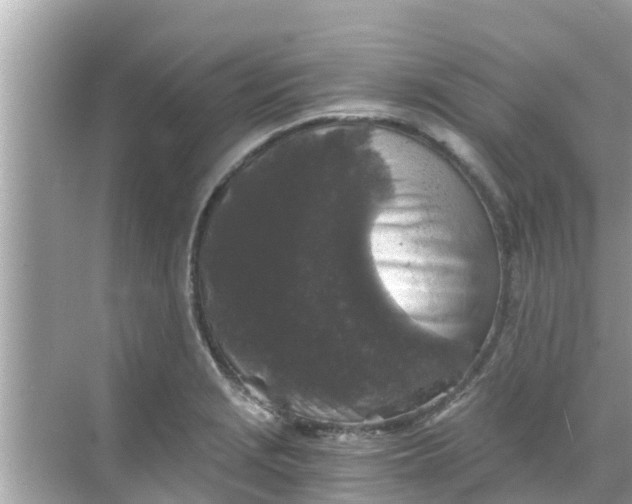 X0000068301229200605051925