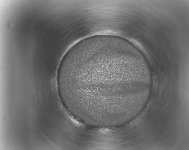 X0000068301230200605051925