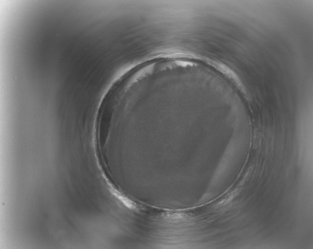 X0000068301231200605051925