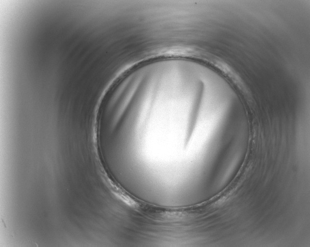 X0000068301232200605051925