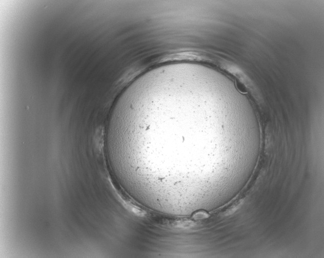 X0000068301233200605051925