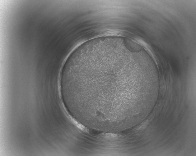 X0000068301235200605051925