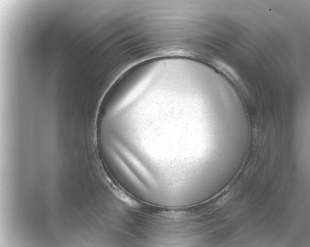 X0000068301236200605051925