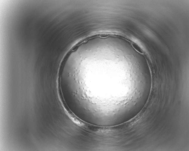 X0000068301237200605051925