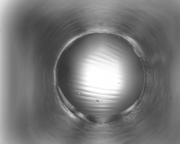 X0000068301238200605051925