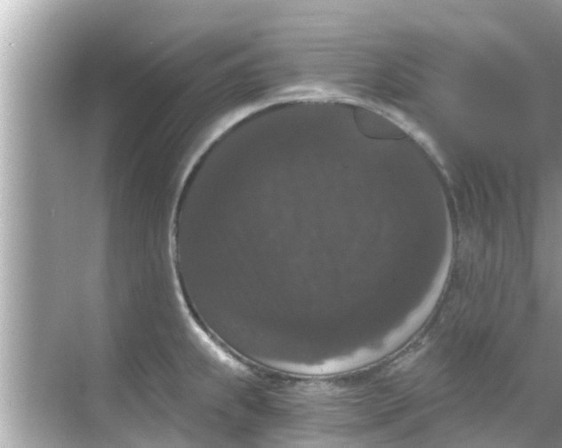 X0000068301239200605051925