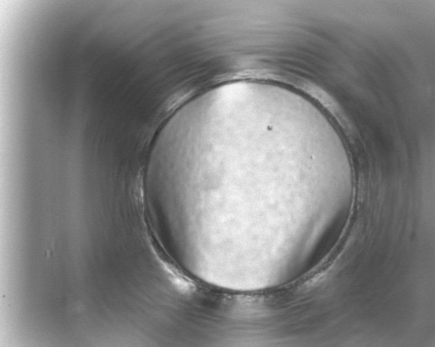 X0000068301241200605051925