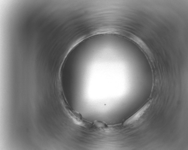 X0000068301242200605051925