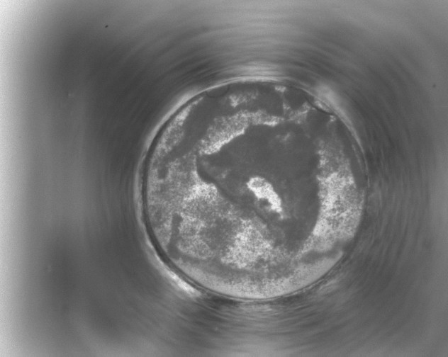 X0000068301243200605051925