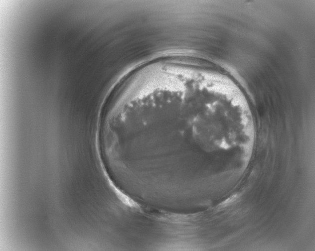 X0000068301245200605051925